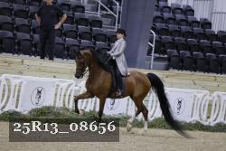 25R13_08656 thumbnail