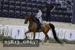 25R13_08657 thumbnail