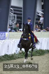25R13_08679 thumbnail