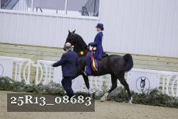 25R13_08683 thumbnail