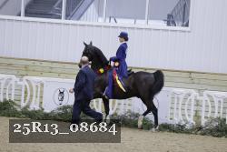 25R13_08684 thumbnail