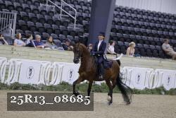 25R13_08685 thumbnail
