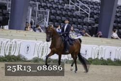 25R13_08686 thumbnail