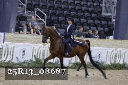 25R13_08687 thumbnail