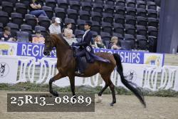 25R13_08689 thumbnail
