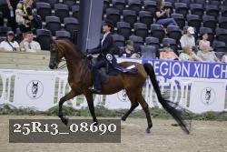 25R13_08690 thumbnail