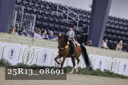 25R13_08691 thumbnail