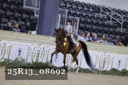 25R13_08692 thumbnail