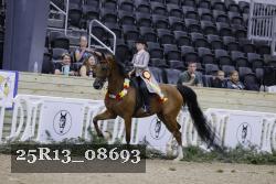 25R13_08693 thumbnail