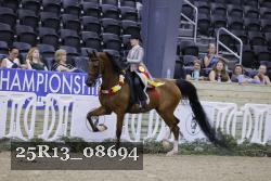 25R13_08694 thumbnail
