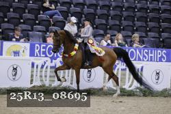 25R13_08695 thumbnail