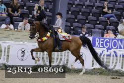 25R13_08696 thumbnail