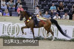 25R13_08697 thumbnail