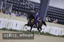 25R13_08698 thumbnail
