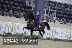 25R13_08699 thumbnail