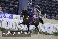 25R13_08700 thumbnail