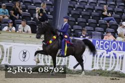 25R13_08702 thumbnail