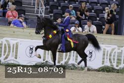 25R13_08703 thumbnail