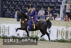 25R13_08704 thumbnail