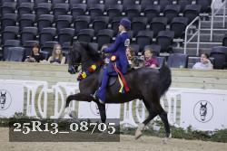 25R13_08705 thumbnail