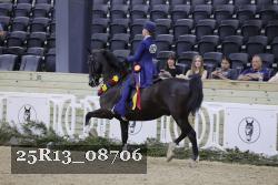 25R13_08706 thumbnail