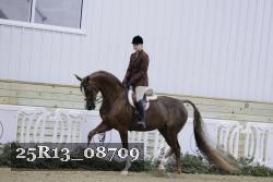25R13_08709 thumbnail