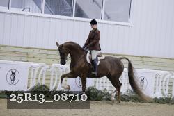25R13_08710 thumbnail