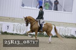 25R13_08717 thumbnail