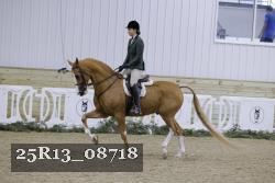 25R13_08718 thumbnail