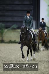 25R13_08725 thumbnail