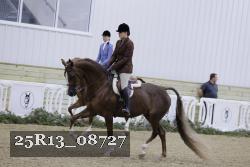25R13_08727 thumbnail