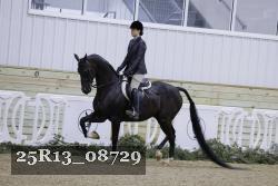25R13_08729 thumbnail
