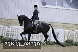 25R13_08730 thumbnail