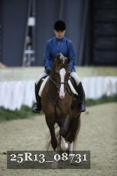 25R13_08731 thumbnail
