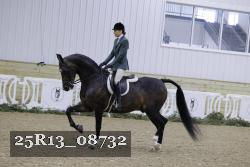 25R13_08732 thumbnail