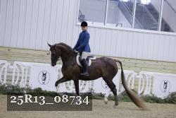 25R13_08734 thumbnail