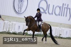 25R13_08735 thumbnail