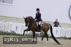 25R13_08736 thumbnail