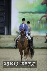 25R13_08737 thumbnail