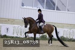25R13_08738 thumbnail