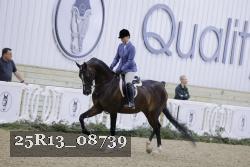 25R13_08739 thumbnail