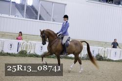 25R13_08741 thumbnail