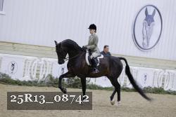 25R13_08742 thumbnail