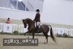 25R13_08744 thumbnail