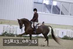 25R13_08745 thumbnail