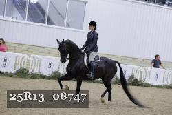 25R13_08747 thumbnail