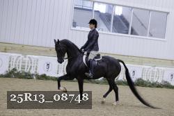25R13_08748 thumbnail