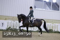 25R13_08750 thumbnail