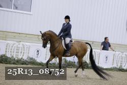 25R13_08752 thumbnail