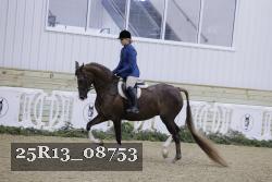 25R13_08753 thumbnail